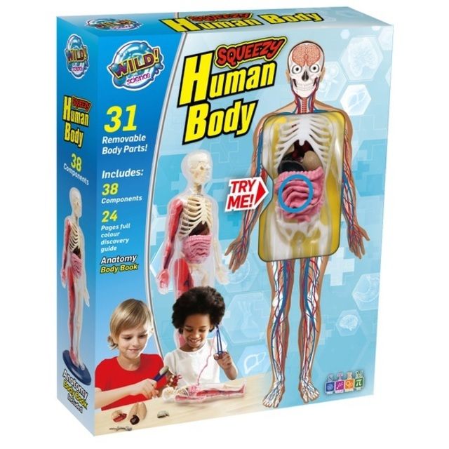 Žmogaus kūnas Wild Science Squeezy Human Body