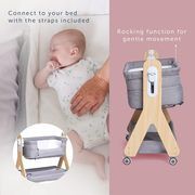 Lovelė prie lovos Baby Elegance Dreamy Co Sleeper